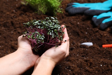 Woman holding fresh organic microgreen, closeup view