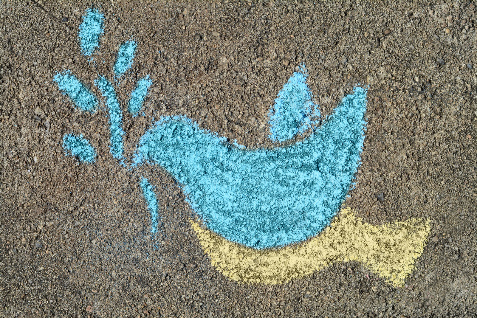 Photo of Bird drawn by blue and yellow chalk on asphalt, top view