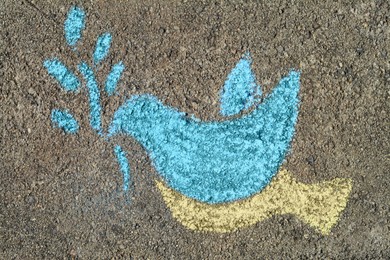 Photo of Bird drawn by blue and yellow chalk on asphalt, top view