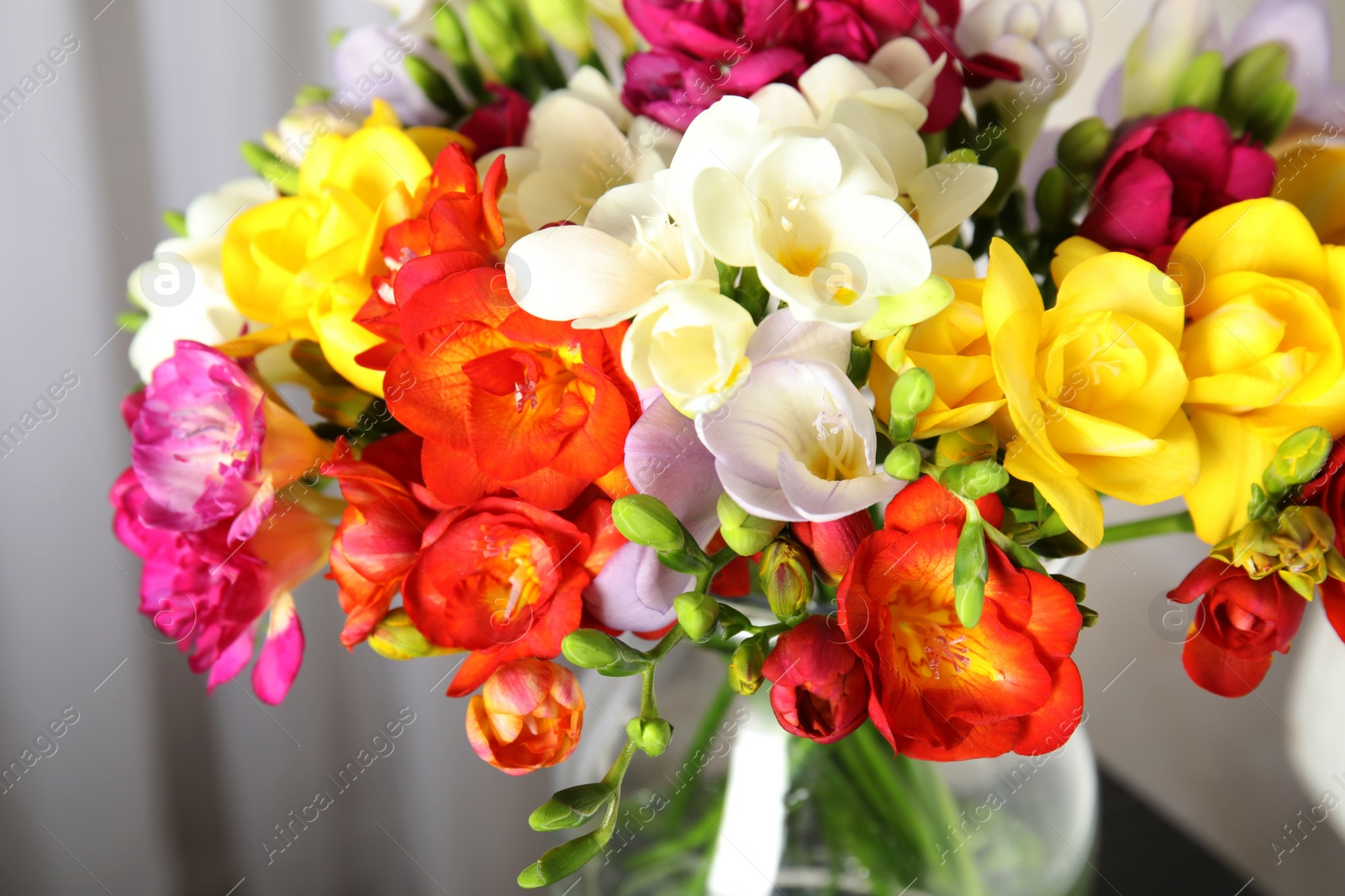 Photo of Beautiful spring freesia flowers in vase, closeup