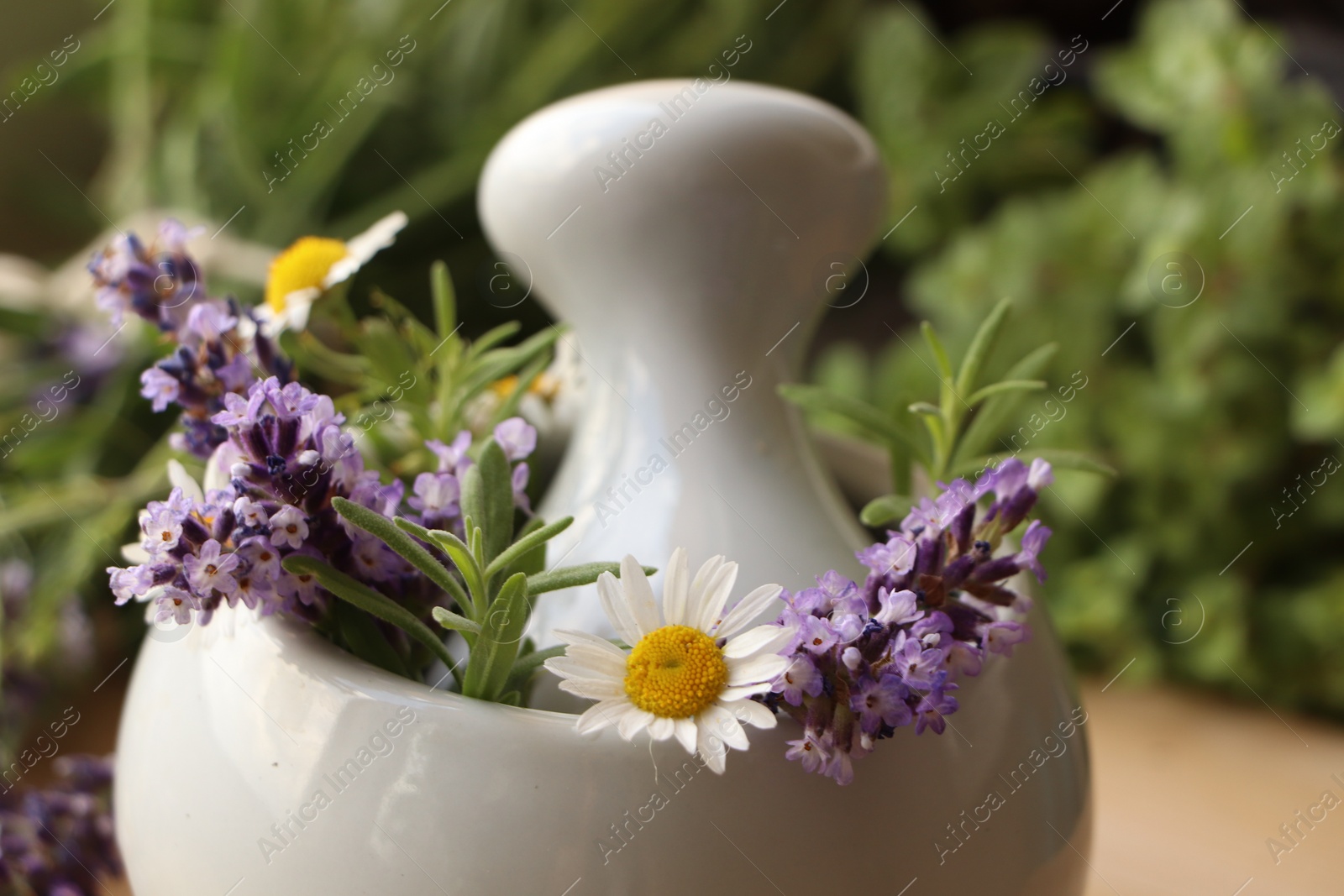 Photo of Mortar with fresh lavender, chamomile flowers, rosemary and pestle on blurred background, closeup