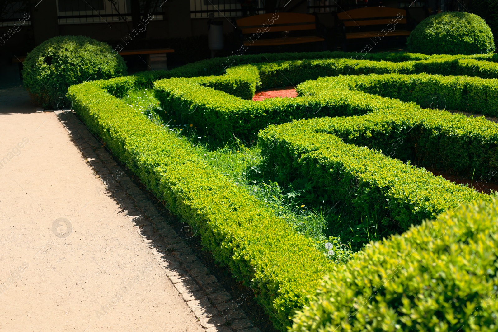 Photo of Beautiful view of green hedge maze on sunny day