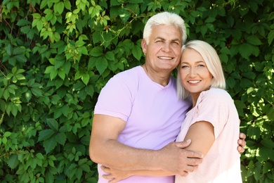 Photo of Portrait of affectionate senior couple in park