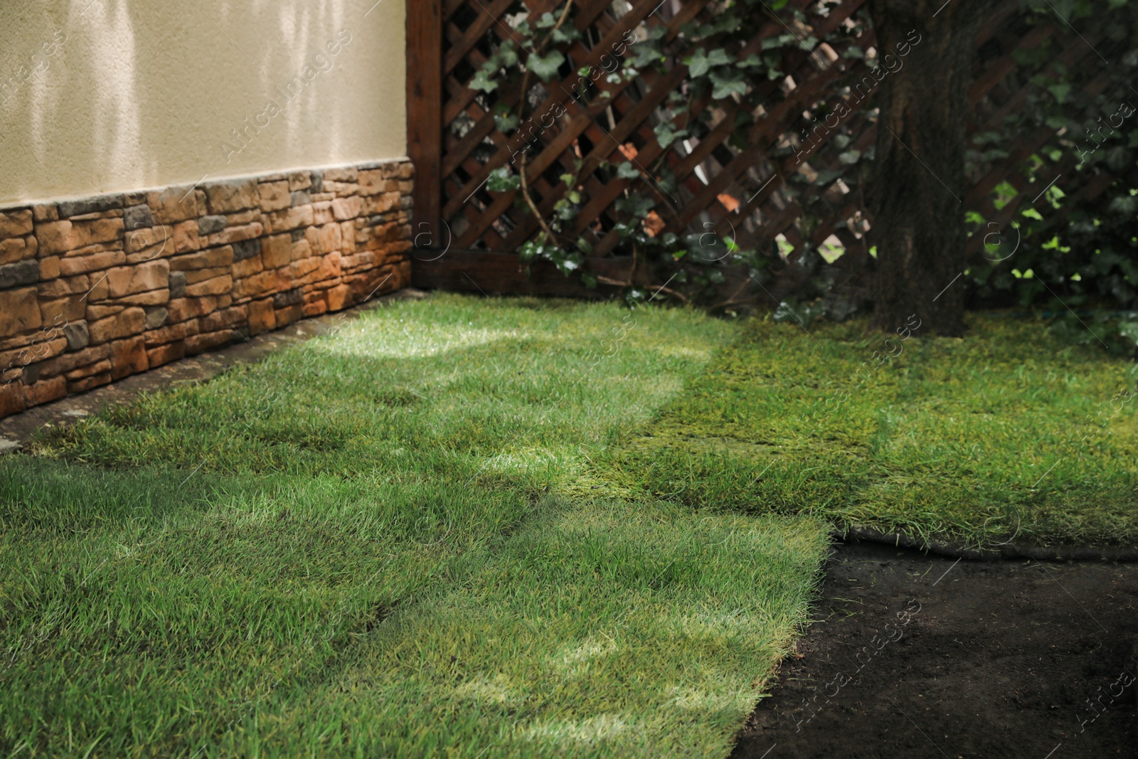 Photo of Unrolled grass sods on ground in backyard