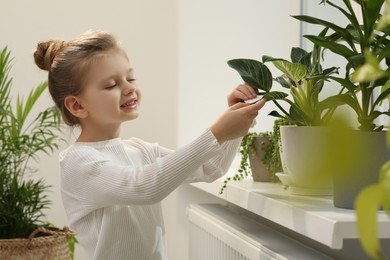 Cute little girl wiping plant's leaves with cotton pad on windowsill at home. House decor
