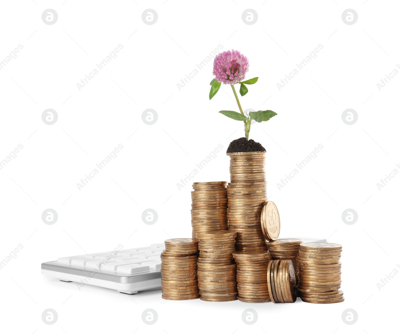 Photo of Stacked coins with plant and calculator on white background