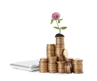 Stacked coins with plant and calculator on white background