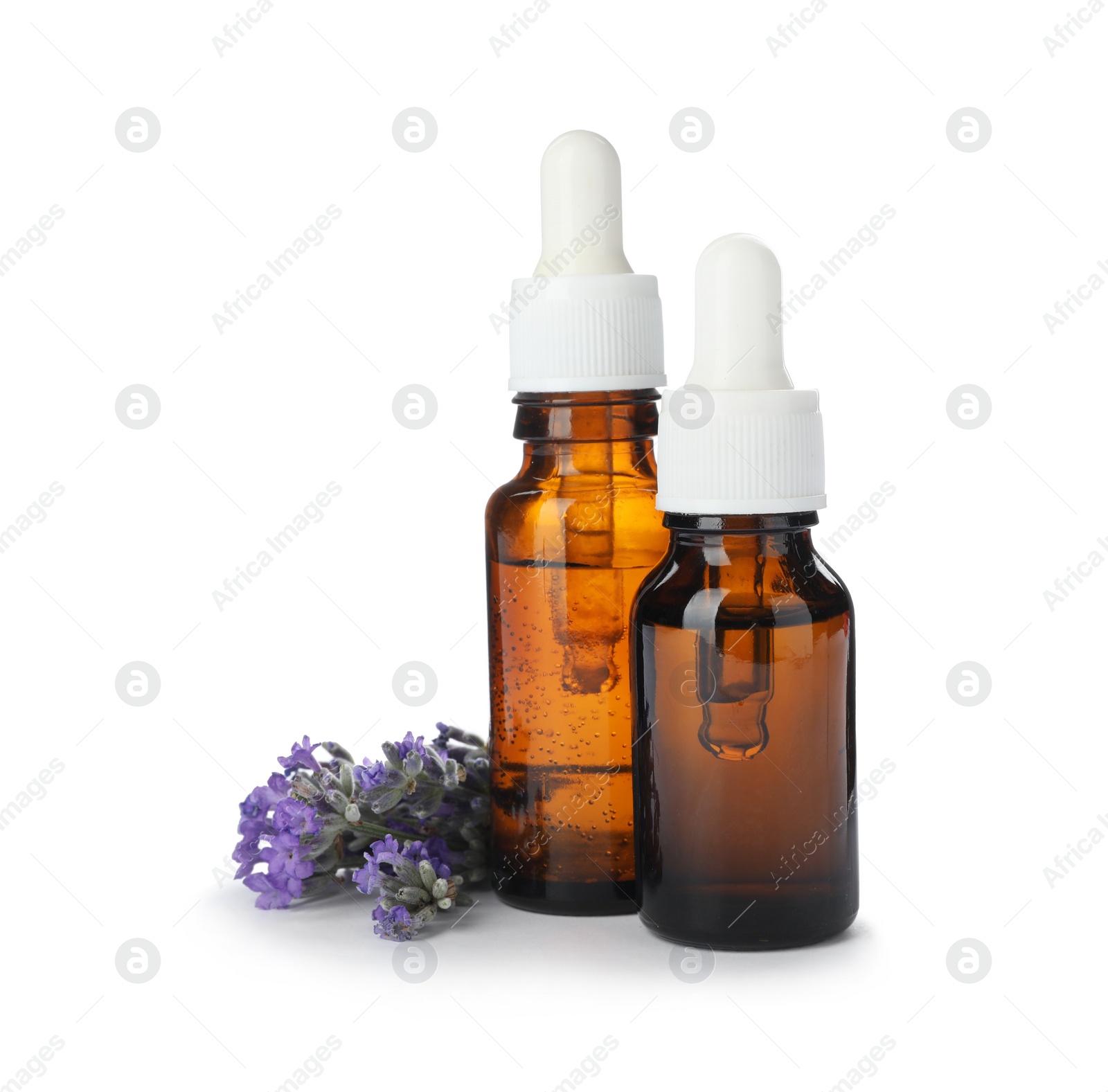 Photo of Bottles with natural lavender oil and flowers on white background