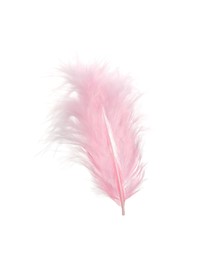Fluffy beautiful pink feather isolated on white