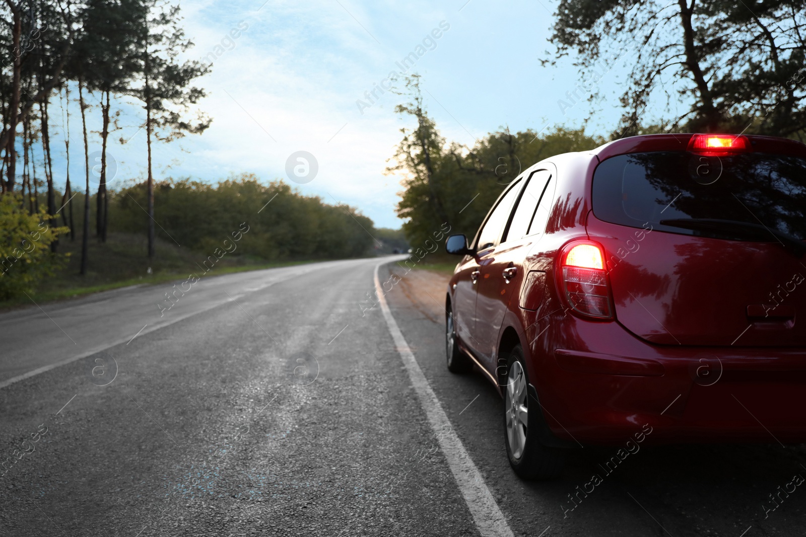 Photo of Red car parked near forest, back view. Road trip