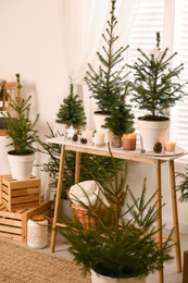 Photo of Potted fir trees and Christmas decorations on table near window in room. Stylish interior design