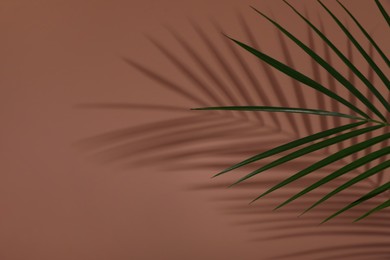 Photo of Tropical palm branch casting shadow on brown wall. Space for text