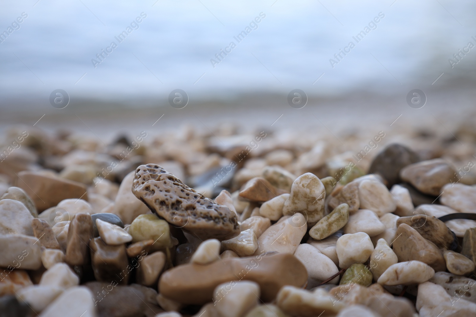 Photo of Coast with stones and pebbles on summer day, closeup