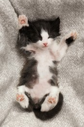 Photo of Cute baby kitten sleeping on cozy blanket, top view