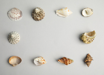 Photo of Frame made with different sea shells on light grey background, flat lay. Space for text