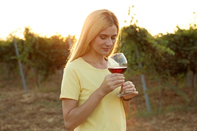 Young beautiful woman enjoying wine at vineyard on sunny day