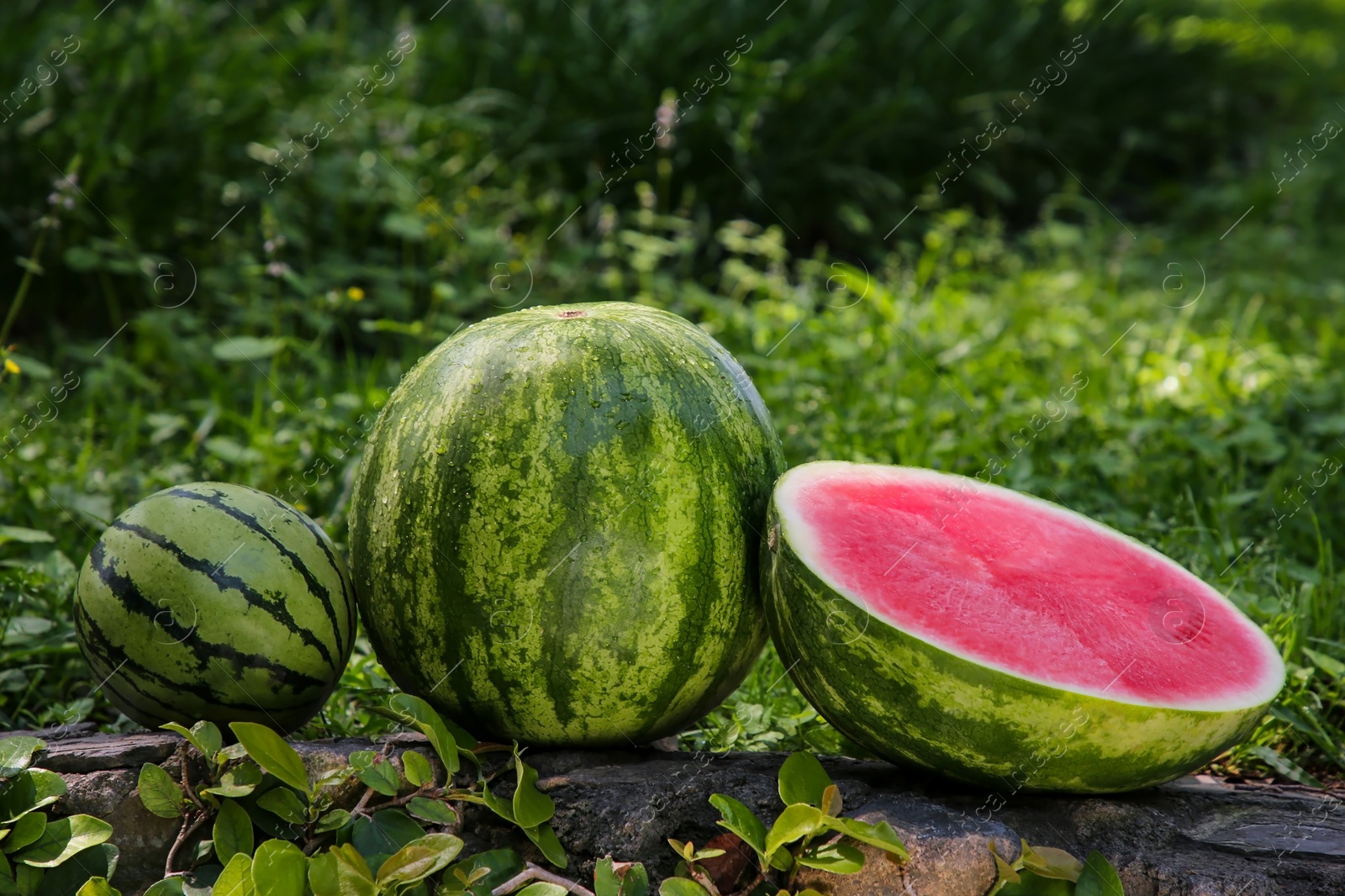 Photo of Different delicious ripe watermelons on stone surface outdoors