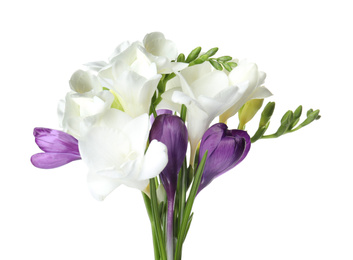 Photo of Bouquet of beautiful spring flowers on white background