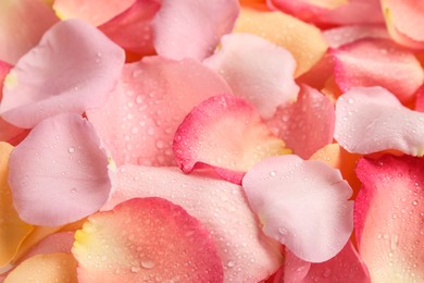 Photo of Pile of fresh rose petals with water drops as background, closeup