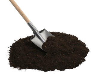 Photo of Shovel and pile of soil isolated on white