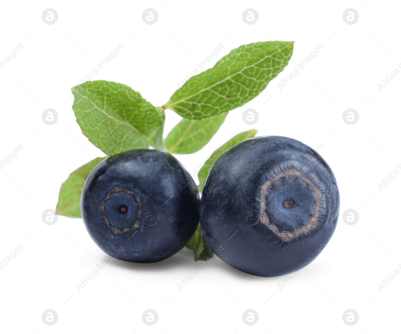 Photo of Tasty ripe bilberries and green leaves isolated on white