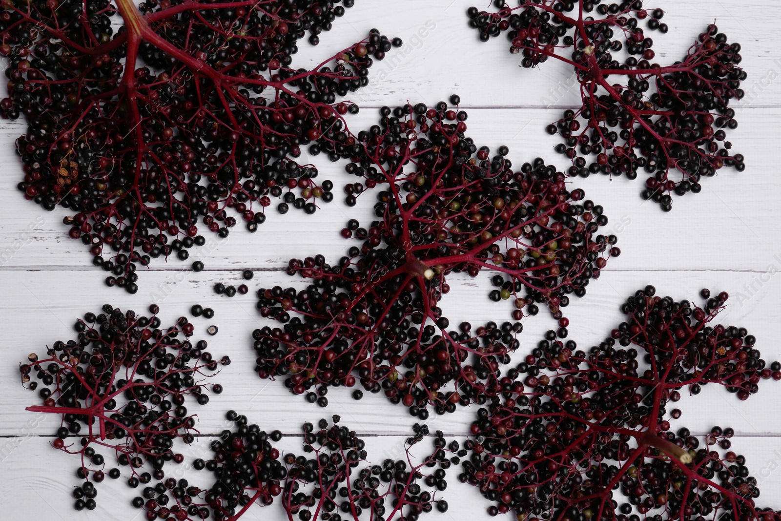 Photo of Tasty elderberries (Sambucus) on white wooden table, flat lay