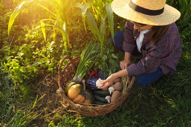 Photo of Woman harvesting different fresh ripe vegetables on farm, above view