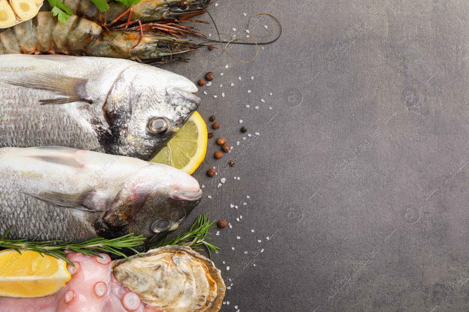 Photo of Flat lay composition with fresh raw dorado fish and different seafood on grey table. Space for text