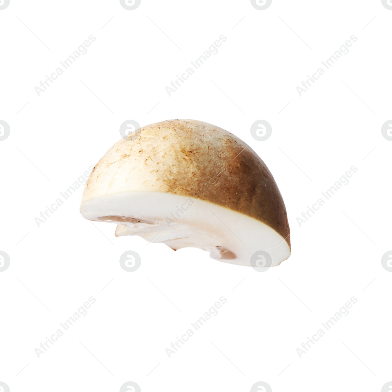 Photo of Piece of fresh mushroom on white background