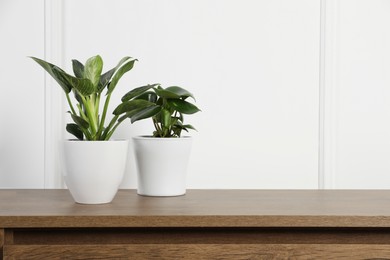 Photo of Beautiful different houseplants in pots on wooden table near white wall, space for text