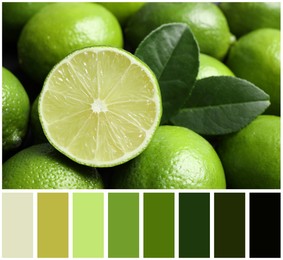 Fresh ripe juicy limes and color palette. Collage