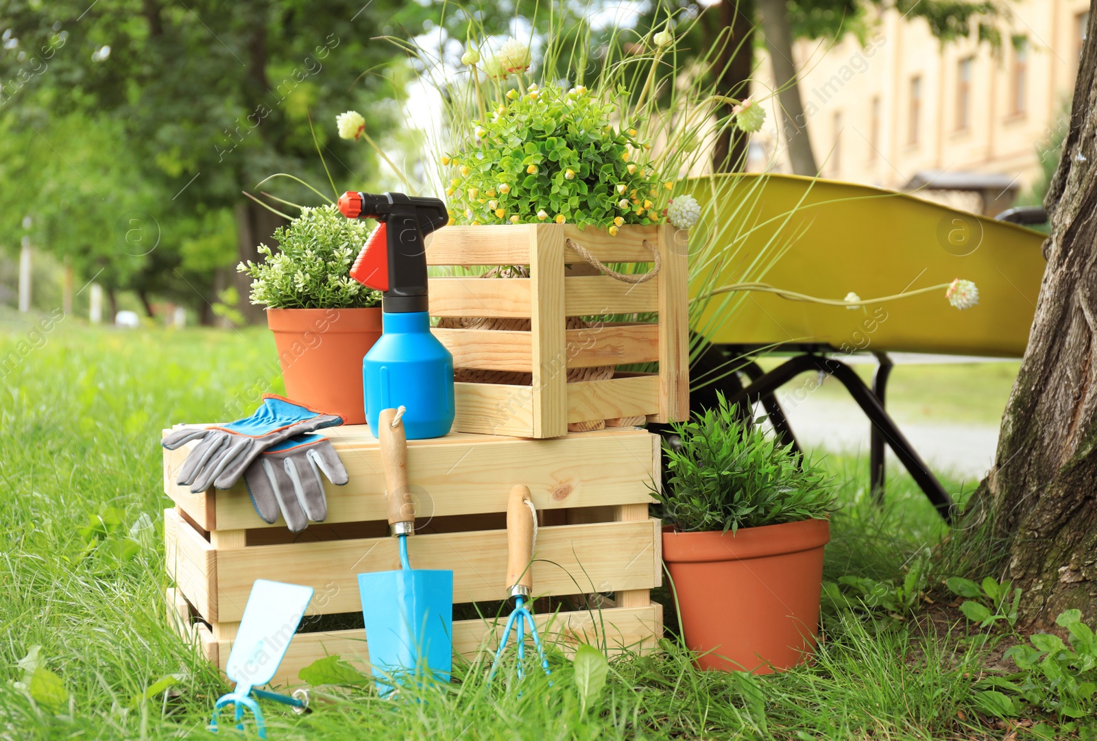 Photo of Composition with gardening tools on green grass