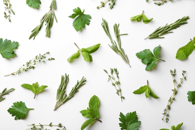 Different fresh herbs on white background, top view