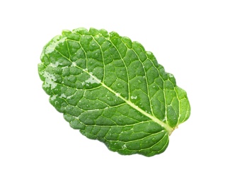 Photo of Green wet leaf of fresh mint isolated on white