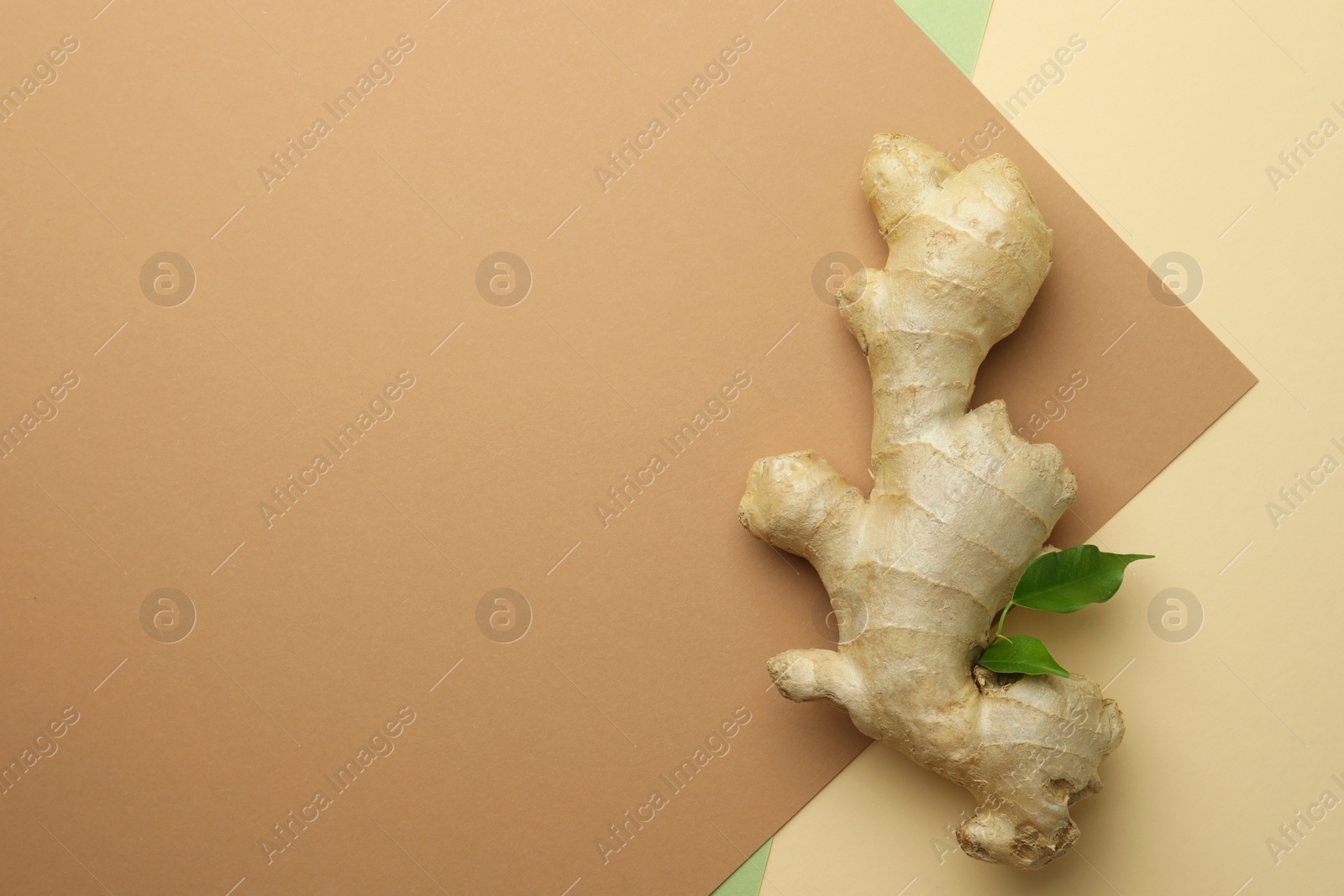 Photo of Fresh ginger with green leaves on color background, top view. Space for text