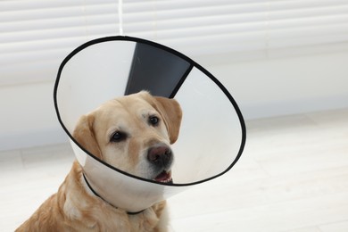 Photo of Sad Labrador Retriever with protective cone collar indoors