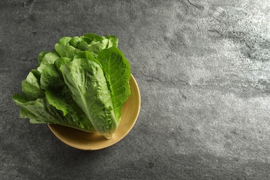 Photo of Fresh green romaine lettuces on light grey table, top view. Space for text