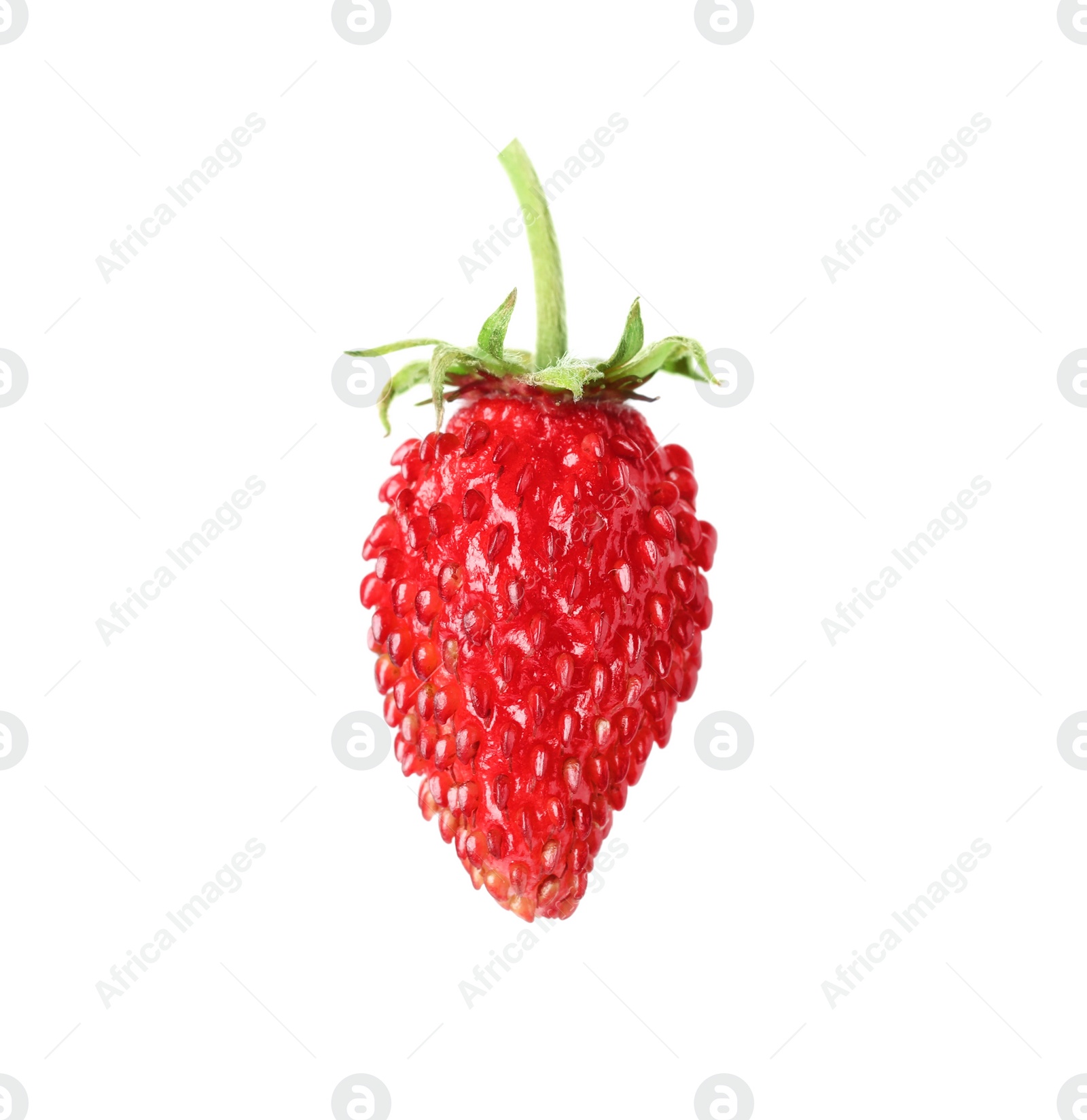 Photo of One ripe wild strawberry isolated on white