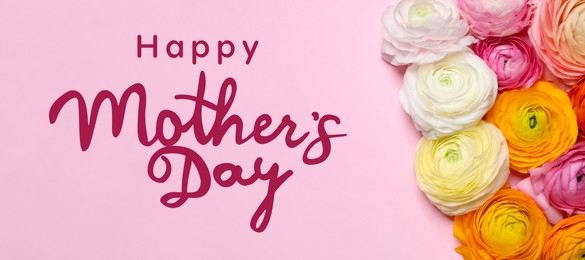 Image of Happy Mother's Day. Beautiful ranunculus flowers on pink background, flat lay