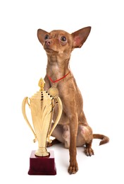 Cute toy terrier with gold medal and trophy cup on white background
