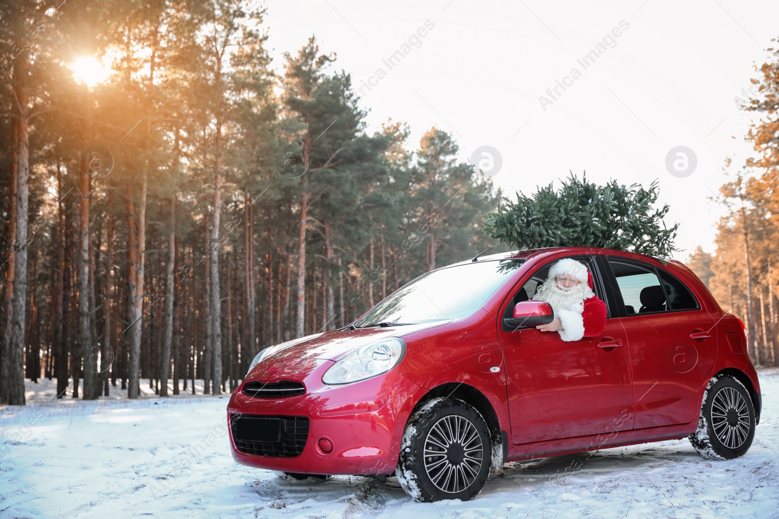 Photo of Authentic Santa Claus driving car with Christmas tree, view from outside