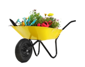 Photo of Wheelbarrow with flowers and gardening tools isolated on white