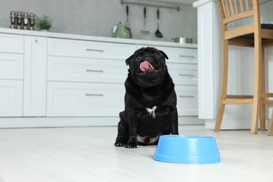 Photo of Cute Pug dog eating from plastic bowl in kitchen