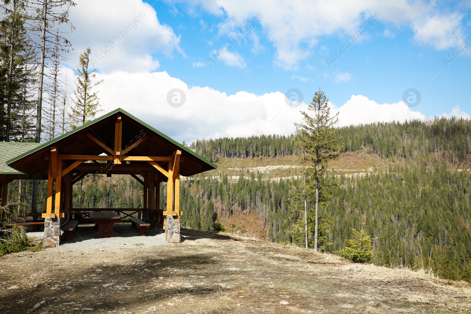 Photo of Wooden gazebo with table and benches near forest in mountains. Space for text