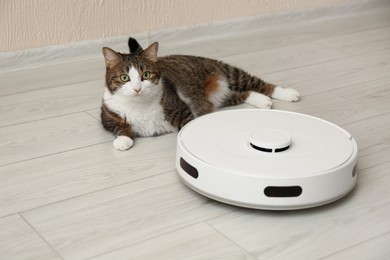 Photo of Cute cat and robot vacuum cleaner on floor at home. Lovely pet