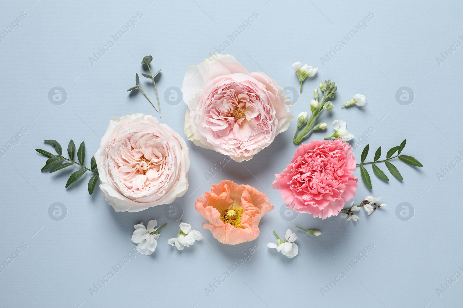 Photo of FLat lay composition with different beautiful flowers on light grey background