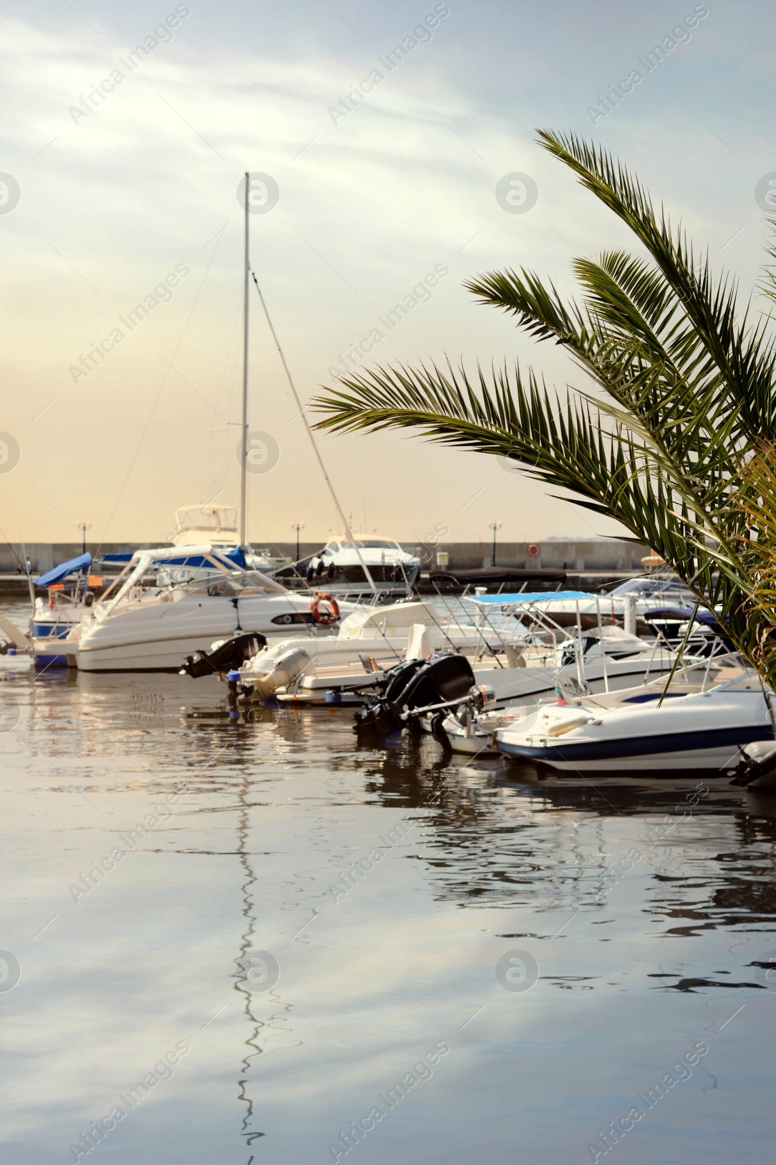 Photo of Beautiful view of city pier with moored boats on sunny day