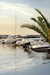 Photo of Beautiful view of city pier with moored boats on sunny day