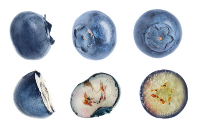 Set of fresh whole and cut blueberries on white background