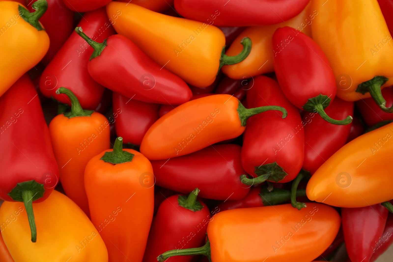 Photo of Yellow and red hot chili peppers as background, top view